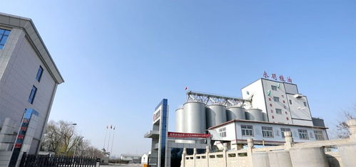 山東永明糧油擬在魯西南建設大型多功能面粉廠，助力區(qū)域農業(yè)經濟高質量發(fā)展