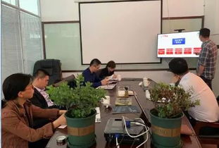 項(xiàng)目申報(bào)、財(cái)稅審計(jì)及信息技術(shù)與融資咨詢?nèi)轿唤馕? class=