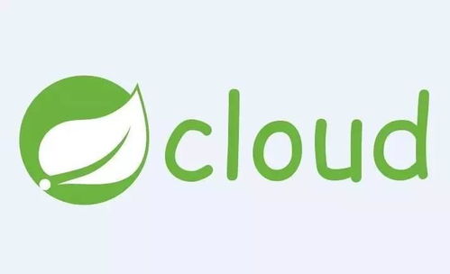 Spring Cloud在國內中小型互聯網銷售公司的應用可行性分析